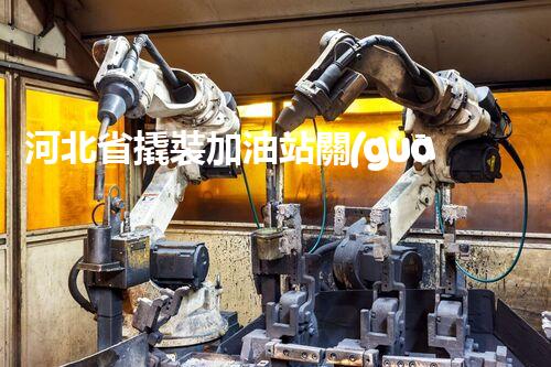 河北省撬裝加油站關(guān)鍵技術(shù)突破！化工廠拆除工程的新方法探索？